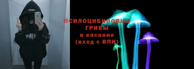 ГАЛЛЮЦИНОГЕННЫЕ ГРИБЫ Алзамай