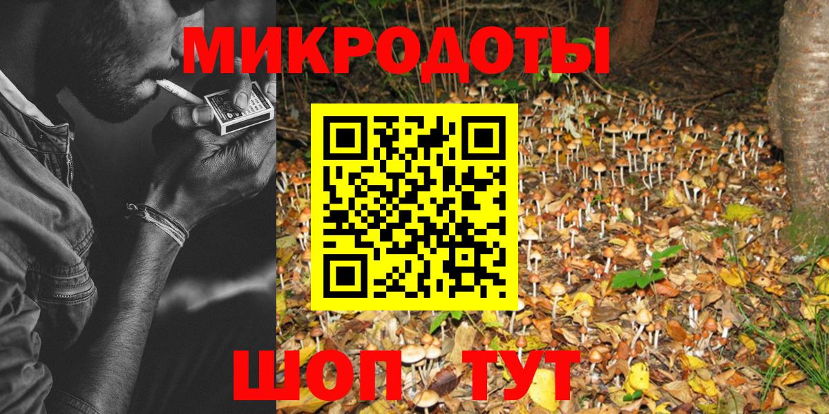 Нововоронеж  Псилоцибиновые грибы Cubensis  Вход с VPN 