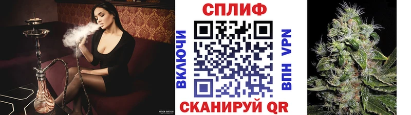 Конопля планчик Нововоронеж